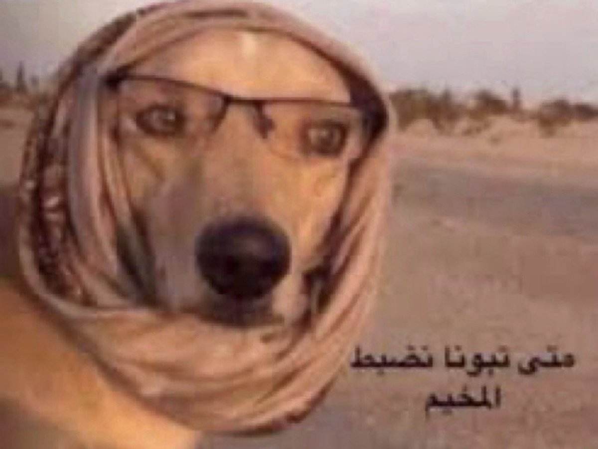 Rayliok's tweet photo. الرطوبة بدأت تفك https://t.co/BH4co1mk1t
