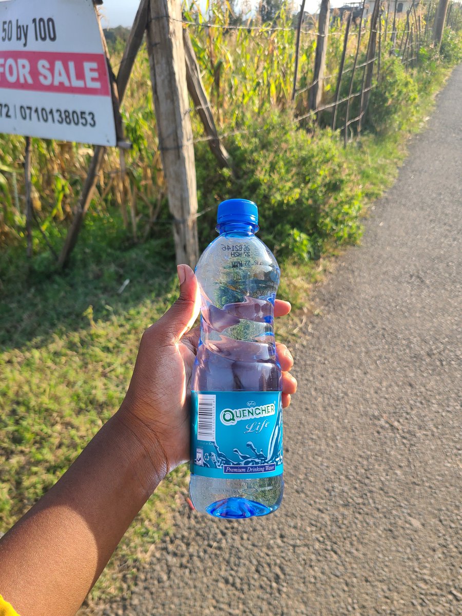 mora75141's tweet photo. Evening walk 🥰🥰 https://t.co/YBTlGExnTP