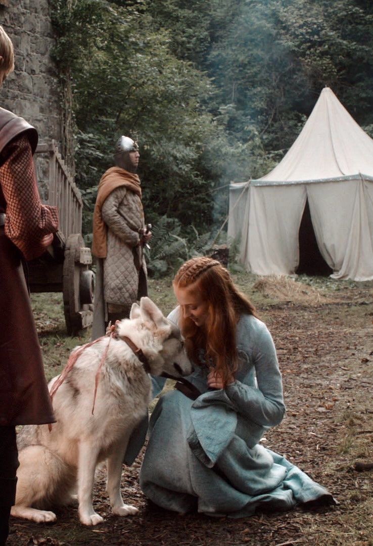 medusansas's tweet photo. the princess of winterfell &amp; her emotional support apex predator puppy https://t.co/AiN1H0hlYW