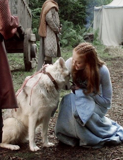 medusansas's tweet photo. the princess of winterfell &amp; her emotional support apex predator puppy https://t.co/AiN1H0hlYW