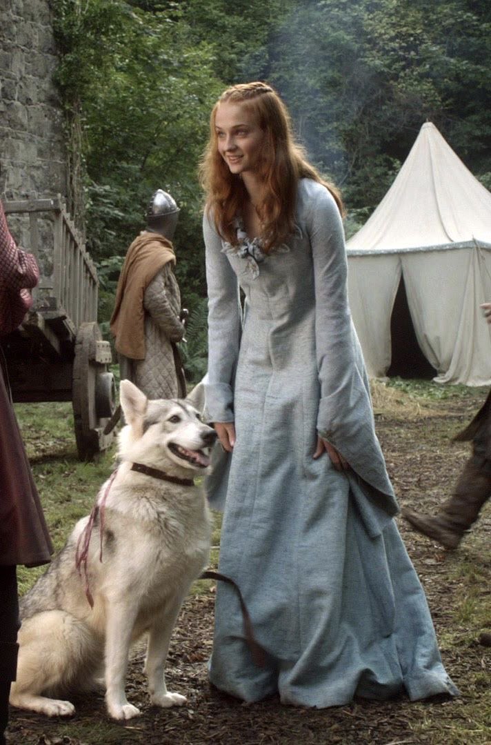 medusansas's tweet photo. the princess of winterfell &amp; her emotional support apex predator puppy https://t.co/AiN1H0hlYW