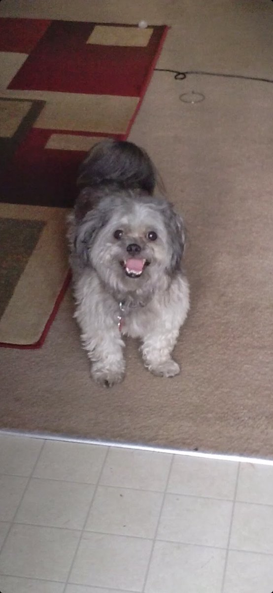 Jus_candace's tweet photo. Dior RIP mommy will miss u https://t.co/XVY0SsK7iH