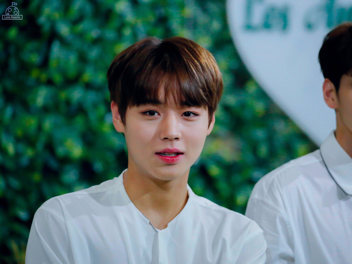 Mayeollie's tweet photo. จีฮุนวันนี้ เมื่อ 9 ปีที่แล้ว Kcon LA เบ้าหน้าฟ้าประทานมาก เหมือนสวรรค์ประชุมกันแล้วลงมติว่าคนนี้ขอใส่สุดทุกองค์ประกอบ ตา จมูก ปาก กรอบหน้า องศา ทุกอย่างเกิดมาอยู่ถูกที่ถูกทางหมด ยอม😌🥹 https://t.co/TEgtImJRbC