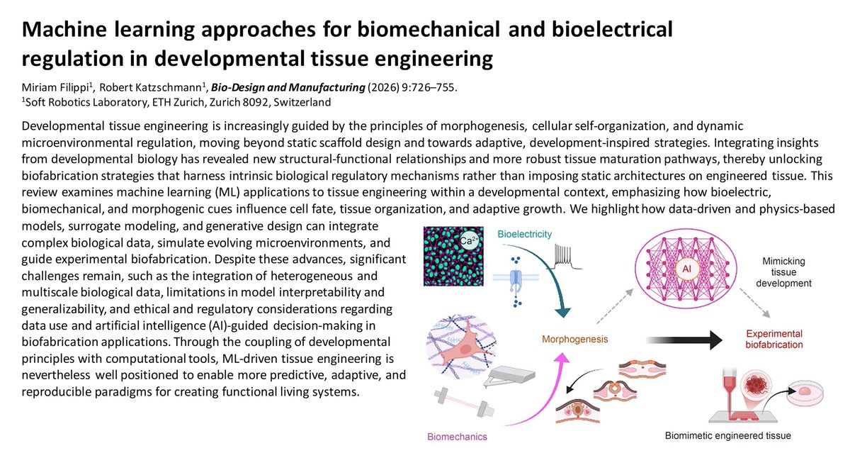 BioDesignManuf's tweet photo. Machine learning approaches for biomechanical and bioelectrical regulation in developmental tissue engineering

Learn more: https://t.co/fPEheDePo3 https://t.co/qAzZjTdewM