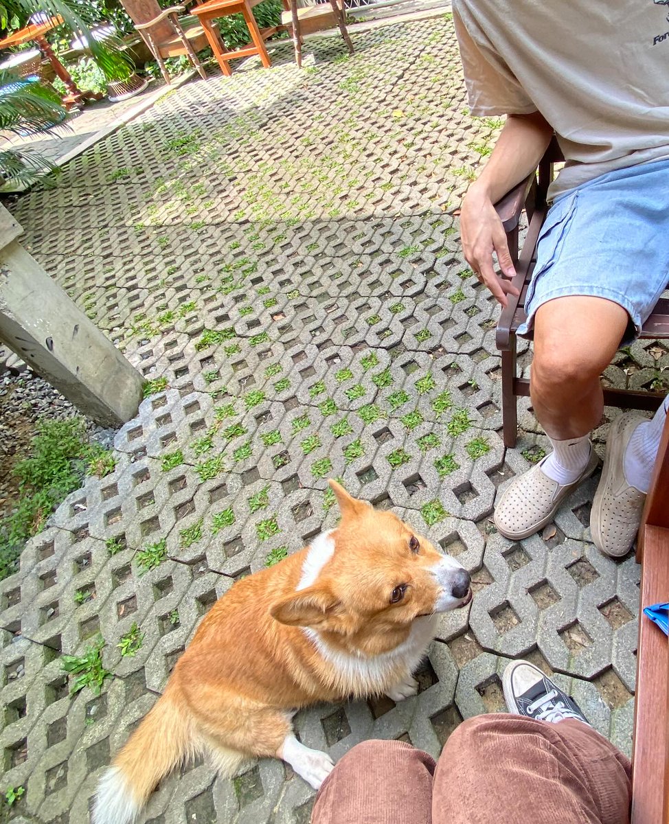 prd_boat's tweet photo. 我有ㄍ聽起來很笨的問題⋯
如果戴了傳統牙套還可以打電音波嗎
（之前有看到說不能使用一些居家美容儀器 https://t.co/47XrNXgLOt