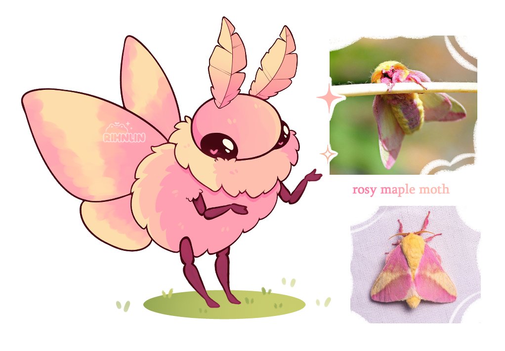 rihnlin's tweet photo. 🌸 rosy maple moth! https://t.co/0Dcl0PFU7I