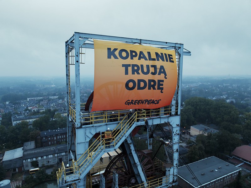 Greenpeace_PL's tweet photo. PILNE! Od soboty wyłowiono ponad trzy tony ryb z Kanału Gliwickiego w związku z zakwitem złotej algi! 

Mimo obietnic rządu Donalda Tuska zasolone ścieki z kopalń węgla nadal trafiają do Odry i Wisły - komentuje @MarekJozefiak 👇

https://t.co/Z3zqqX4Qru https://t.co/K31yuu64Le