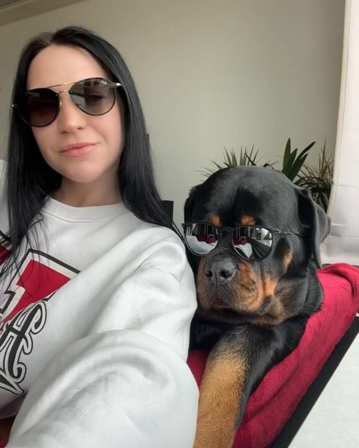 geneik_k9gene's tweet photo. Sometimes I wonder what life will be without you by my side, 🐾🥰🐶
#Zoophobia #knott #dogknot #zoopride #bestiality #antizoo
#zoosarevalid https://t.co/ot61InCG6y