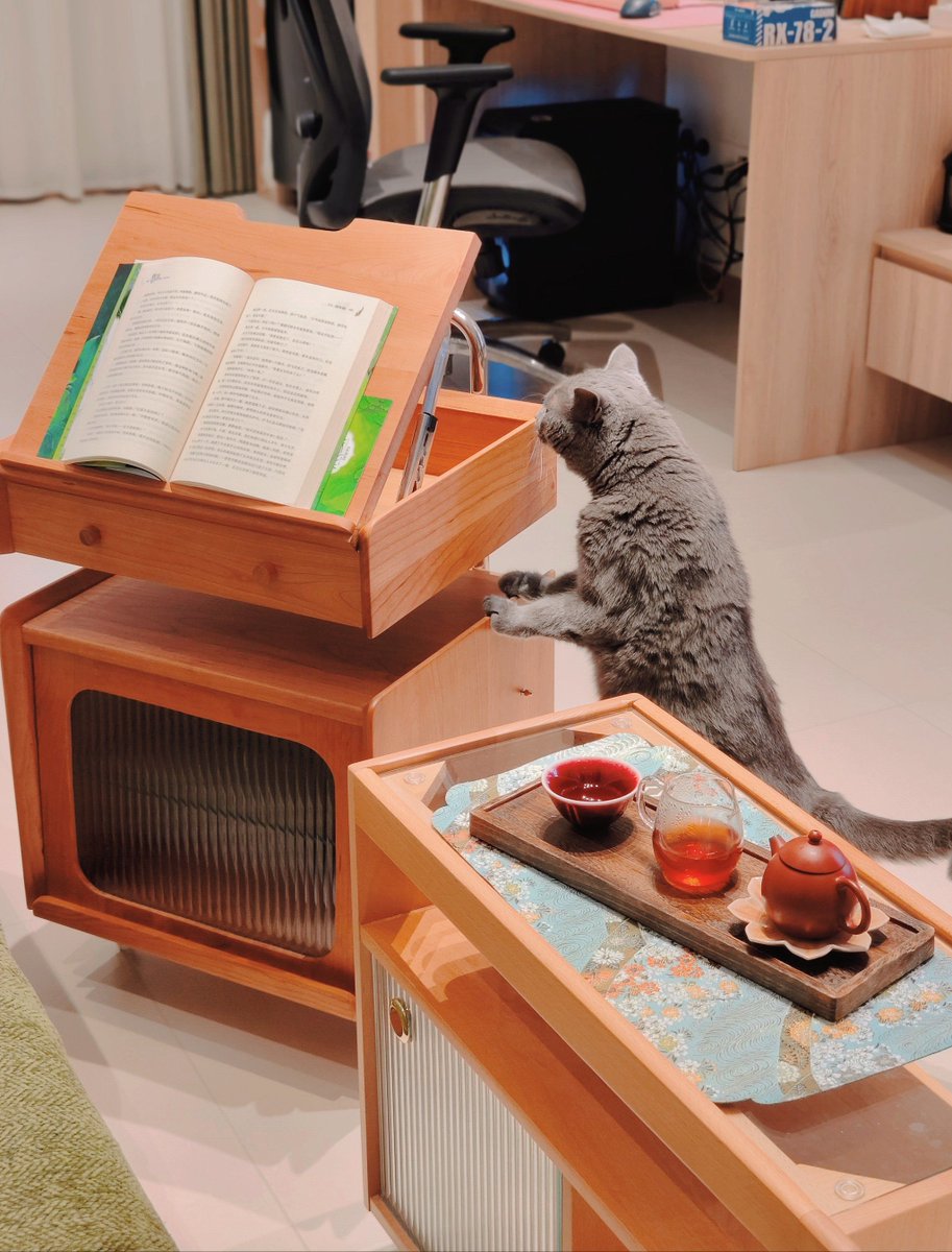 TaylorHele22112's tweet photo. [Started working remotely 3 months ago—my morning now includes making matcha and walking my cat, not rushing through subway crowds. Small shifts make big days!]， https://t.co/AWZaOzW8xh