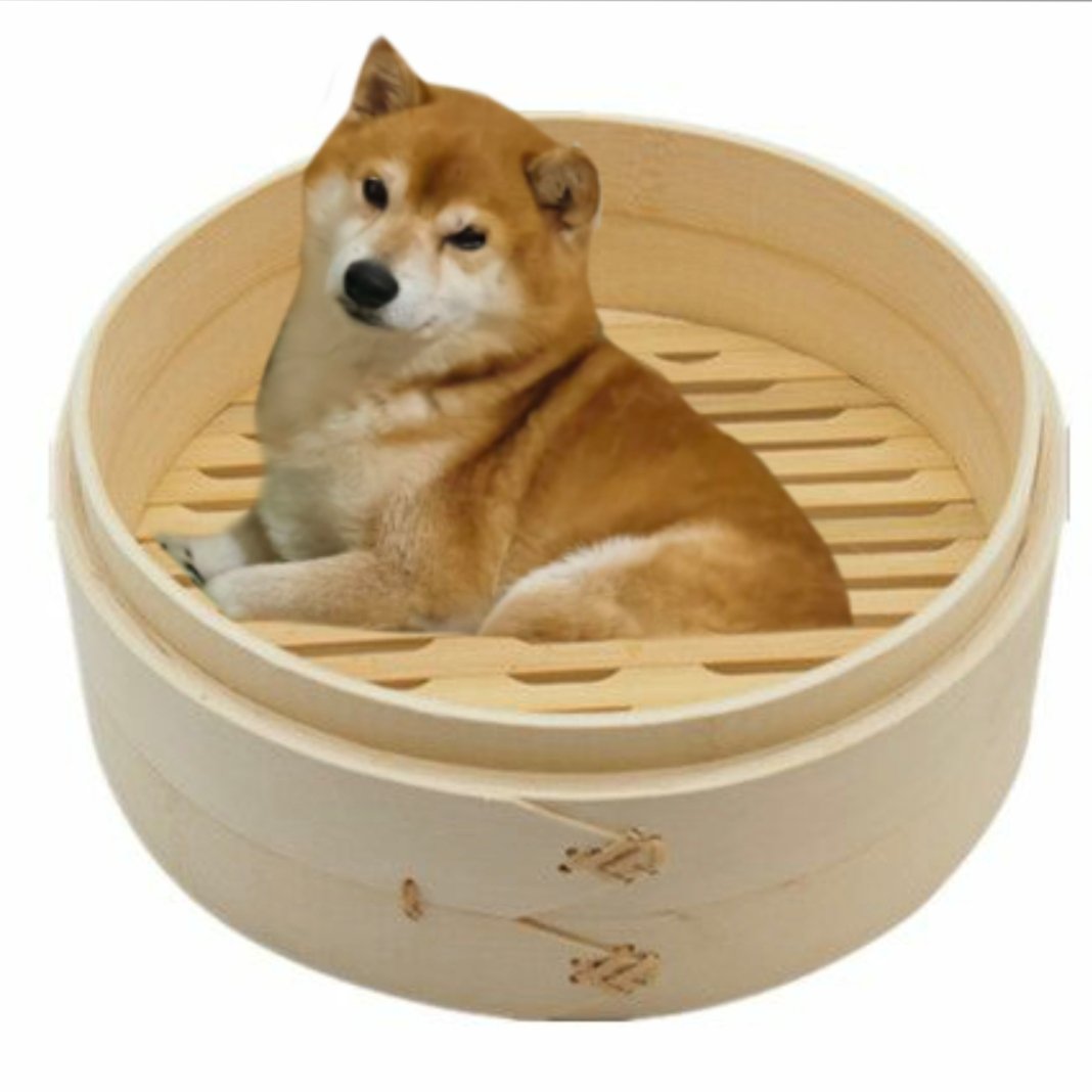Daaancingm55306's tweet photo. friend kept showing me photos of her dog in his bed &amp; he just looked too much like some kind of pastry https://t.co/Vi0qsWy00L