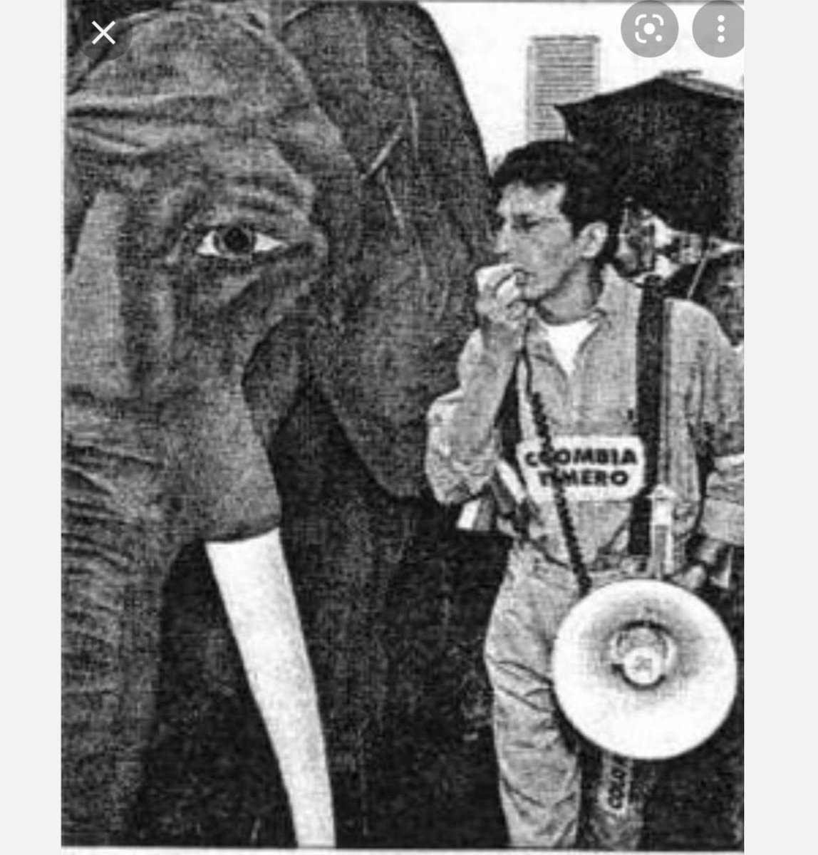 redveeduriascol's tweet photo. @redveeduriascol @pablobustossanc  tuvo origen con “el elefante”, símbolo del
Proceso 8000 - dineros del cartel de Cali en la campaña Samper presidente- donde denunciamos los 111 parlamentarios que absolvieron a Samper entre ellos Carlos Alonso Lucio, y que con base en nuestra denuncia fueron inculpados por prevaricato por la @CorteSupremaJ , proceso tumbado por la tutela de la también representante a la Cámara Vivianne Morales ante la @CConstitucional con ponencia de Carlos Gaviria -qepd-