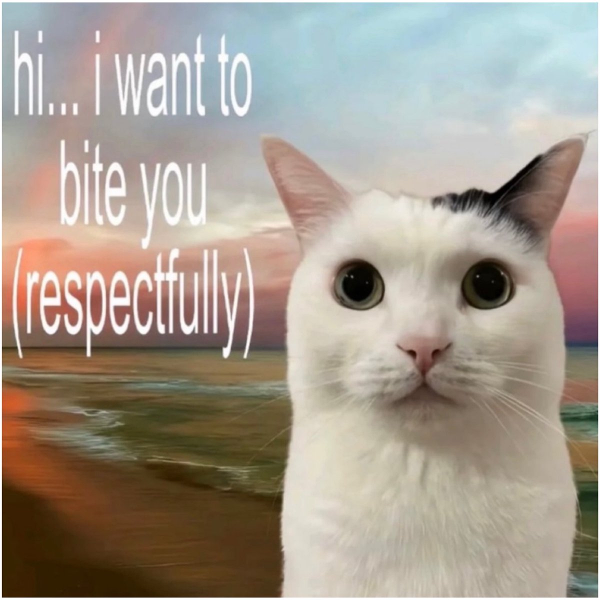 philosophymeme0's tweet photo. https://t.co/Ym3Y6lzK05