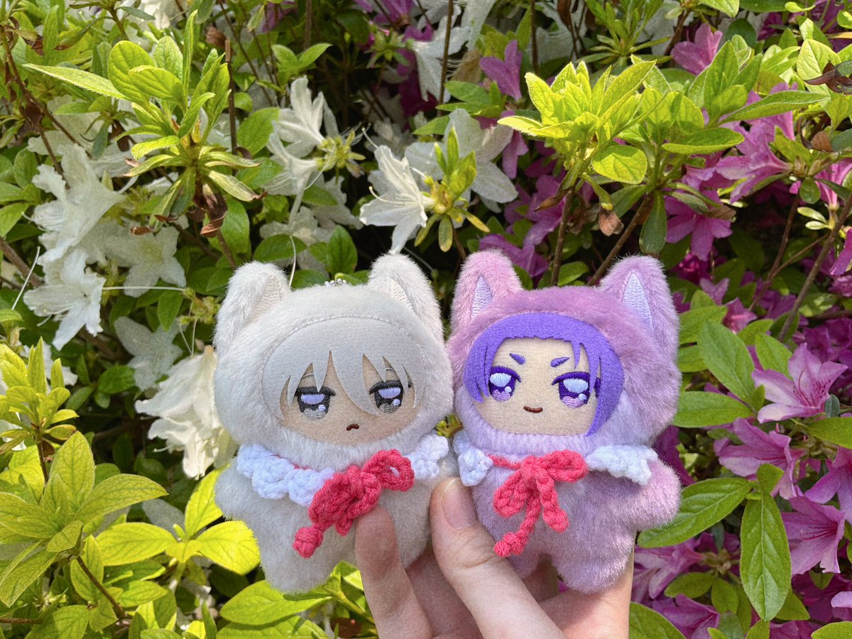 ngqe9o's tweet photo. 왜사진이 안올라간거지 https://t.co/D6A7e5uCAI