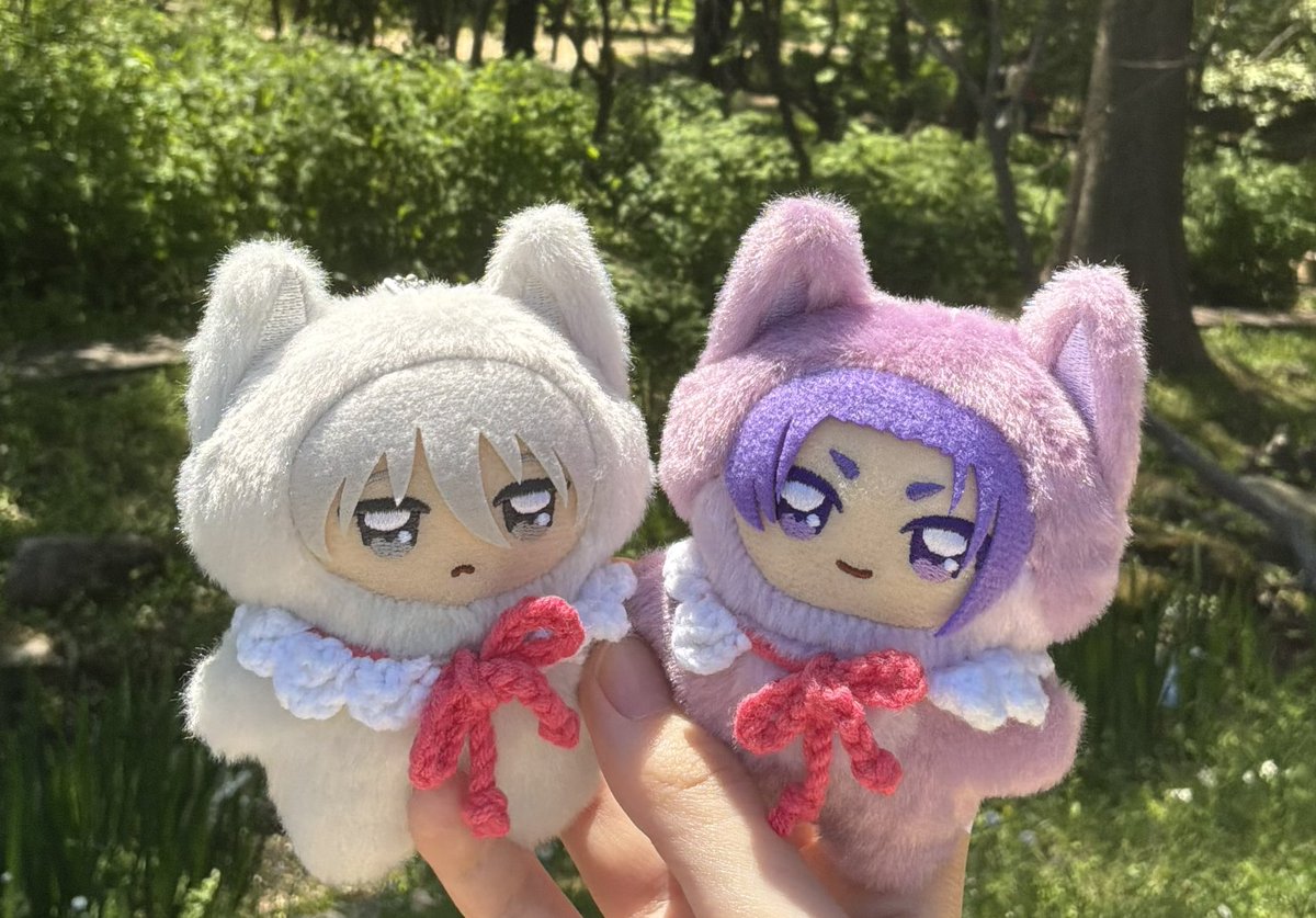 ngqe9o's tweet photo. 왜사진이 안올라간거지 https://t.co/D6A7e5uCAI
