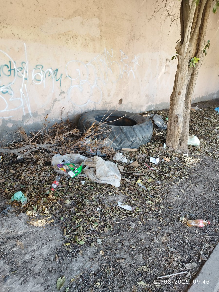 davidborrego9's tweet photo. Un reporte para la Clínica de San Pedro de las Colonias, Coahuila, porque es parte del trato digno para el paciente, la Clínica la tienen hecha un cochinero en el exterior, si en caso de que los vecinos dejen basura reporten a las autoridades correspondientes. 
@usuarios_issste https://t.co/cAOfDuqQcL