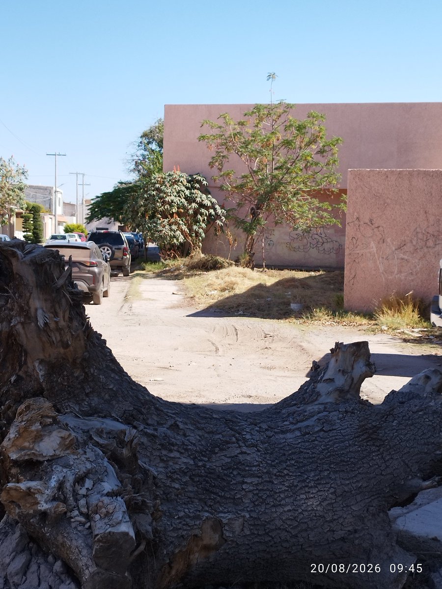 davidborrego9's tweet photo. Un reporte para la Clínica de San Pedro de las Colonias, Coahuila, porque es parte del trato digno para el paciente, la Clínica la tienen hecha un cochinero en el exterior, si en caso de que los vecinos dejen basura reporten a las autoridades correspondientes. 
@usuarios_issste https://t.co/cAOfDuqQcL