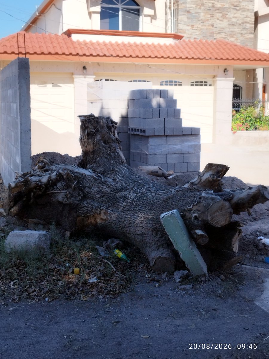 davidborrego9's tweet photo. Un reporte para la Clínica de San Pedro de las Colonias, Coahuila, porque es parte del trato digno para el paciente, la Clínica la tienen hecha un cochinero en el exterior, si en caso de que los vecinos dejen basura reporten a las autoridades correspondientes. 
@usuarios_issste https://t.co/cAOfDuqQcL