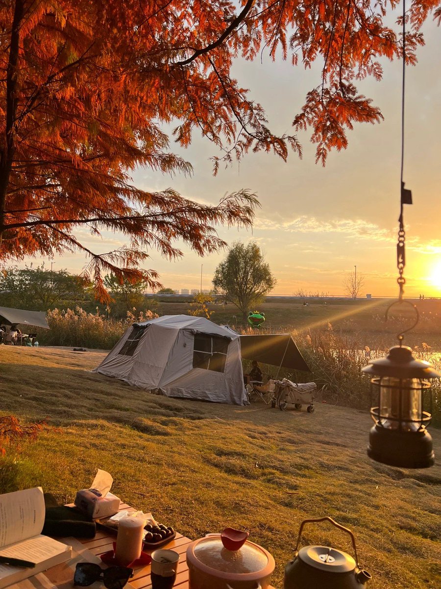 rai_ull's tweet photo. Woke up to golden sunlight filtering through pine trees, the sound of crickets fading, and my camp mug still warm by the fire. This tiny, perfect moment made all the tent setup worth it https://t.co/PLa0Dh6BN2