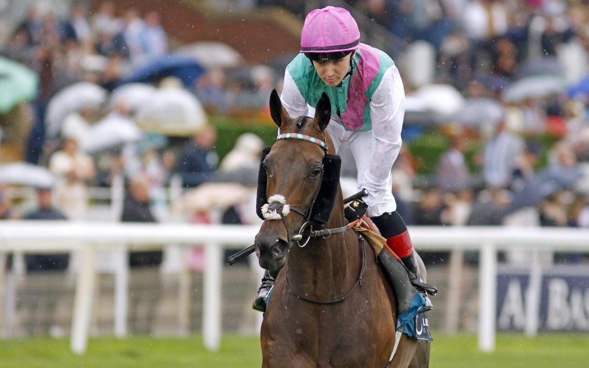 bloodstocknews's tweet photo. It’s a fourth Gr.1 success for @JuddmonteFarms’ homebred KALPANA 💥 

This top-class mare takes the Yorkshire Oaks for her sire Study Of Man (@Lanwades) - her seventh Stakes success 🏆 

Catch her pedigree along with the race review in tomorrow’s EBN #ReadAllAboutIt

📸 @Steven_Cargill