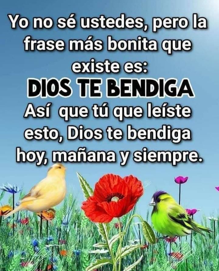 LeonardoEdwinF1's tweet photo. Que hoy recibas las bendiciones más hermosas de la vida.
¡Feliz jueves! https://t.co/EWsa4IM7Zd