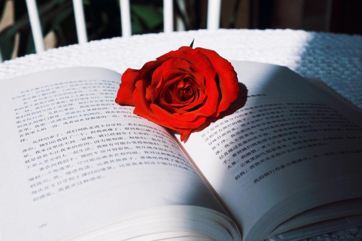Ethevan1's tweet photo. Just finished this heart-wrenching novel that made me cry and reflect all night! Never skip the quiet moments with a good book—they’re the best escape for a tired soul. https://t.co/6uLSwDf5z0