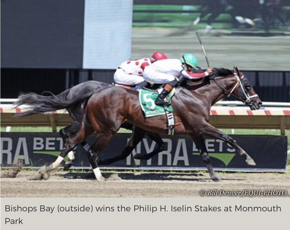 2yovar's tweet photo. Highest on dirt!
Bishops Bay always with the #sealofsuccess
Picture by Bill Denver/Equi-Photo https://t.co/UNH6T5qJGz