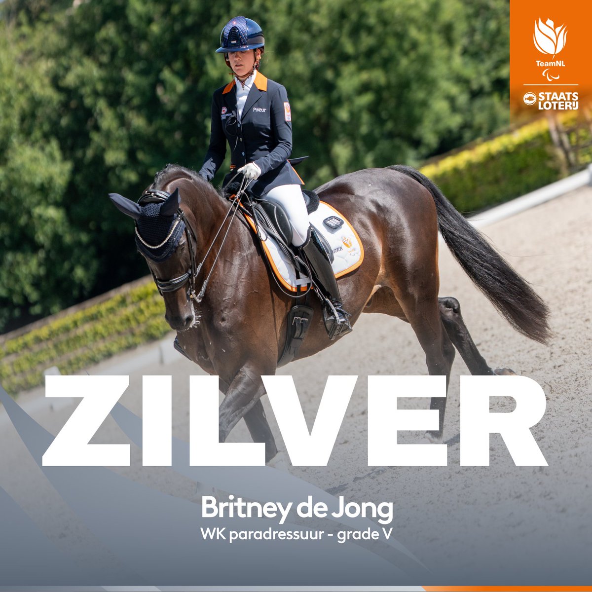 TeamNLtweets's tweet photo. De 100e WK-medaille voor Nederland binnen de paardensport 😱

Extra glans aan de zilveren plak van Britney de Jong met haar paard Caramba 🥈

#TeamNL https://t.co/N4GUFk3bMV