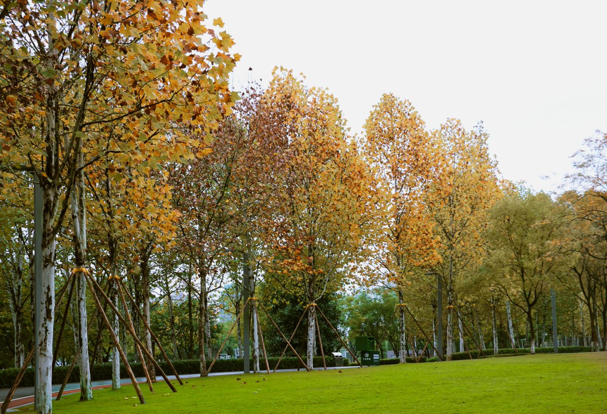 ohenbakofi's tweet photo. [Our photography club’s street photo walk this Sat 2-5PM at Riverside Park! Capture autumn vibes, swap tips, and grab a free photo filter pack. RSVP via link in bio—spots limited!]， https://t.co/bIqrnMJScP
