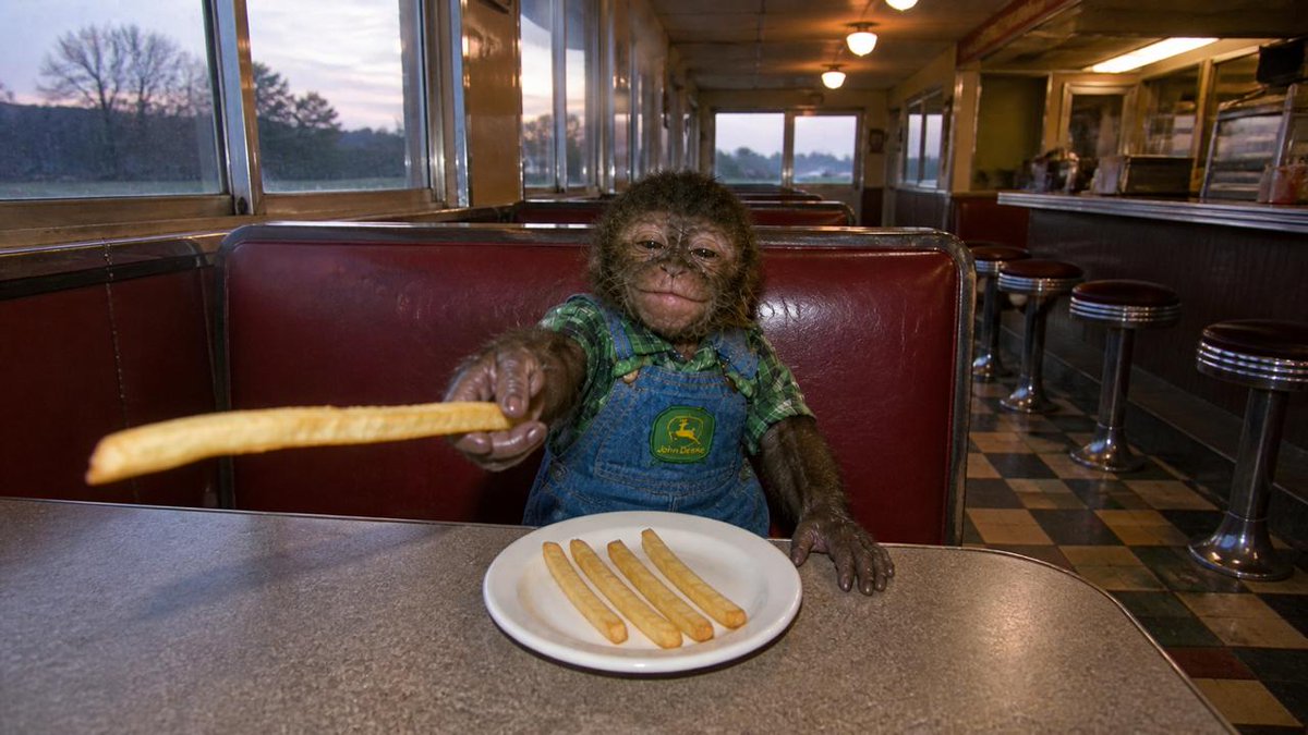 SmallMonkeycoin's tweet photo. mmmmm french fry https://t.co/9ciPFQr7k6