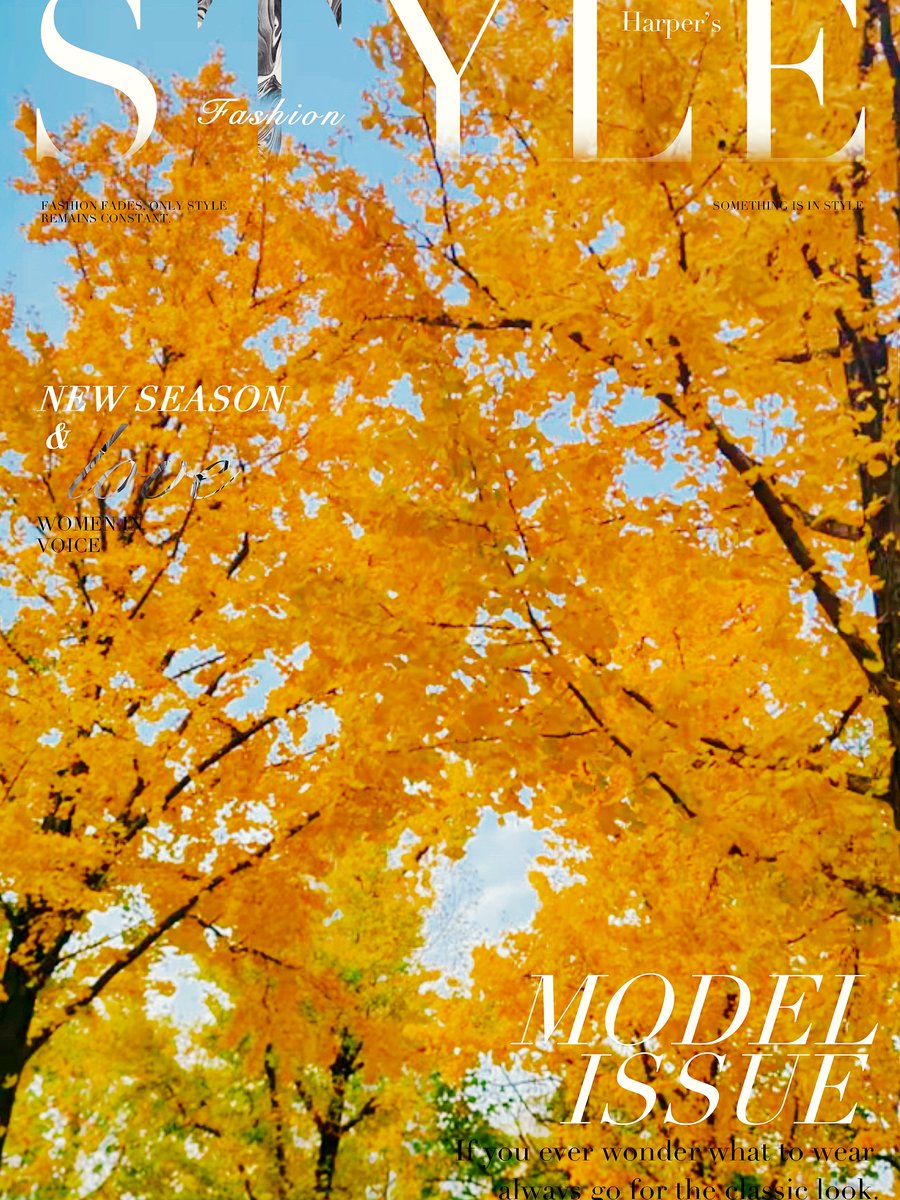 bbjrdjpapmp's tweet photo. [Golden autumn breeze brings crisp apple scent u0026 fallen leaves under the sun—weekend hike vibes hit different!]， https://t.co/kmxCMBGwB7