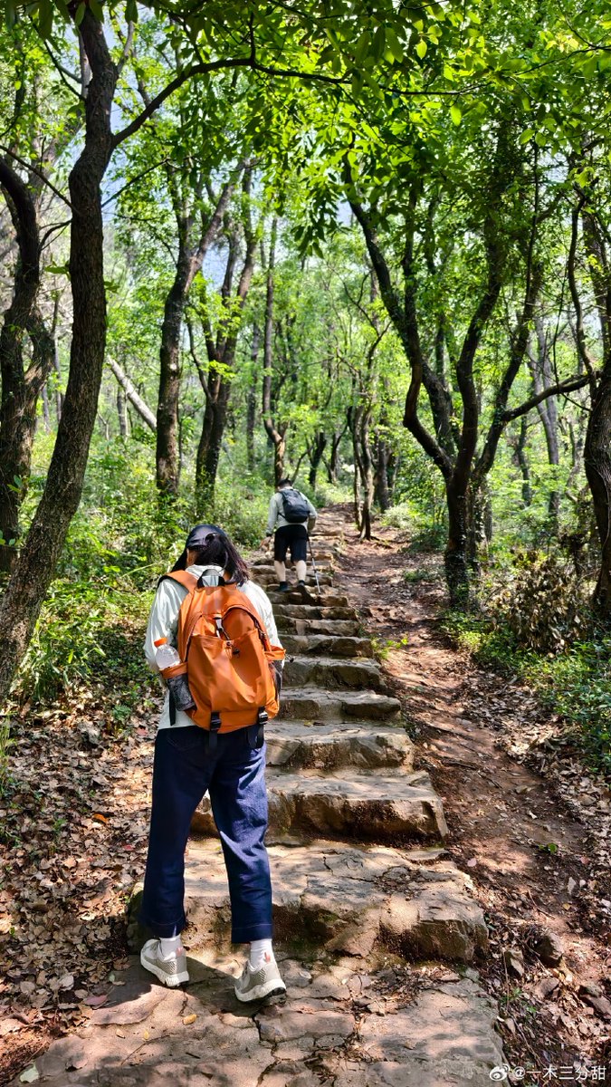 Taayu6's tweet photo. [Sunny weekend vibes! Took a morning hike, birds chirping and the breeze feels so fresh. ] https://t.co/V4JEOy6mv8