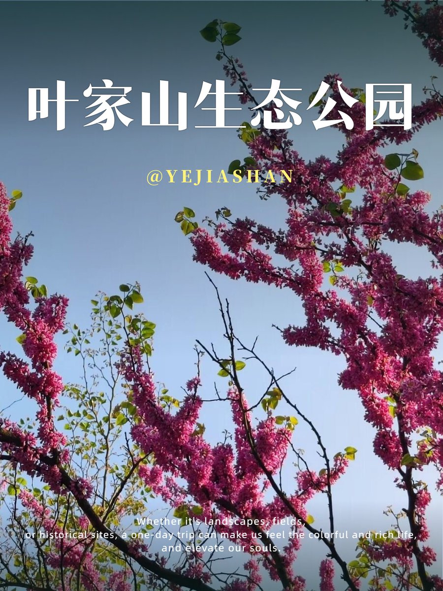 dinceloki45's tweet photo. Our campus hiking club is hosting a beginner-friendly trail walk this Saturday! Meet at the main gate at 9 AM, bring a water bottle, and join us for fresh air and new friends. Sign up via the club’s website now—spots are limited! https://t.co/NPYLXjVLuo