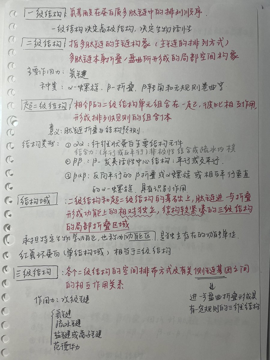 Omar1143227316's tweet photo. Just aced my biochem quiz by cramming enzyme kinetics! Every flashcard, every practice question—total grind pays off  #StudyWin #MedSchoolJourney， https://t.co/JK9ZrAfjCS
