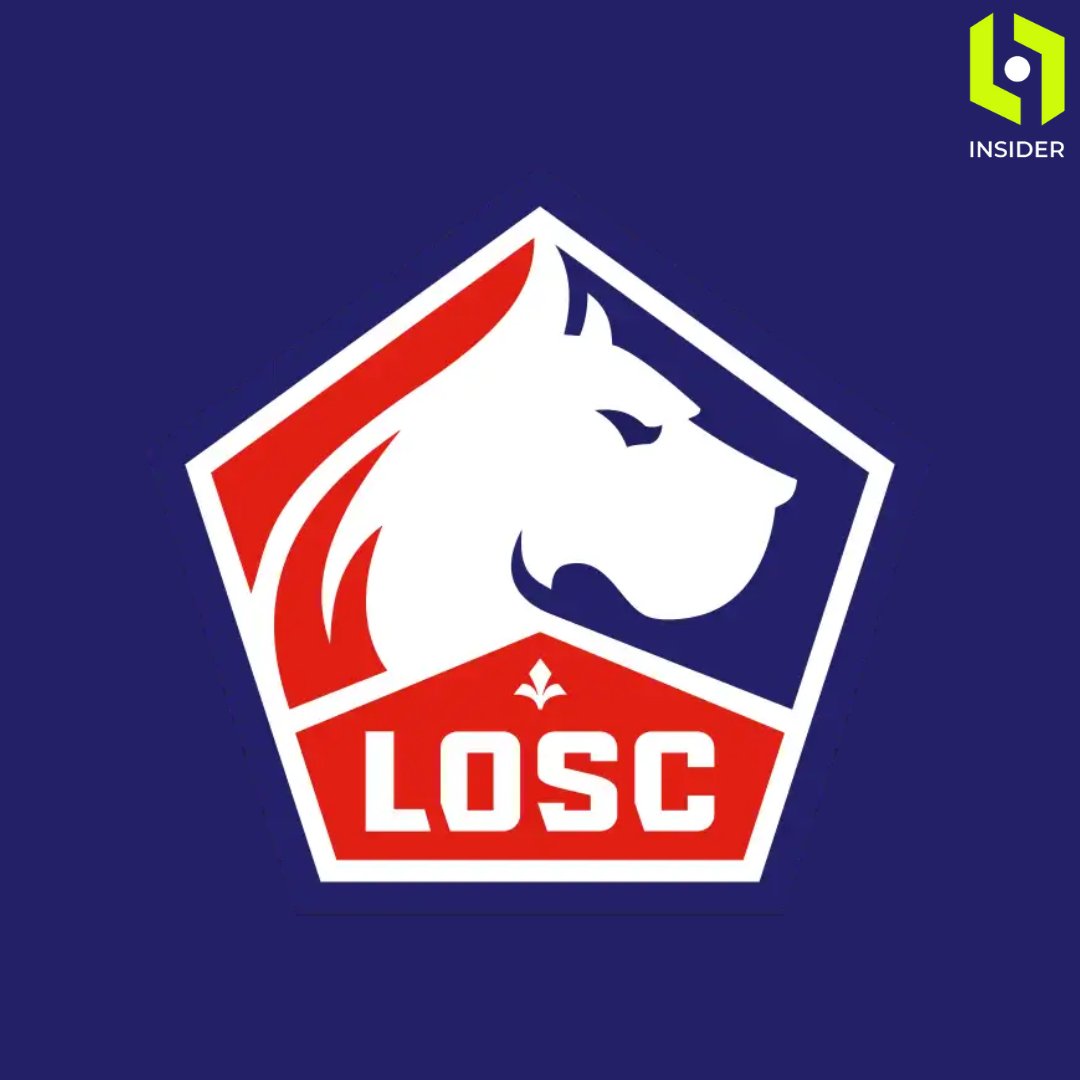 L1InsiderBRL's tweet photo. 🚨🚨 O Lille está fechando a contratação do goleiro Orlando Gill, destaque paraguaio na Copa do Mundo.

O atleta aceitou todos os termos do clube francês.

🗞️ @AndiOnrubia https://t.co/deE9Pvcdoa