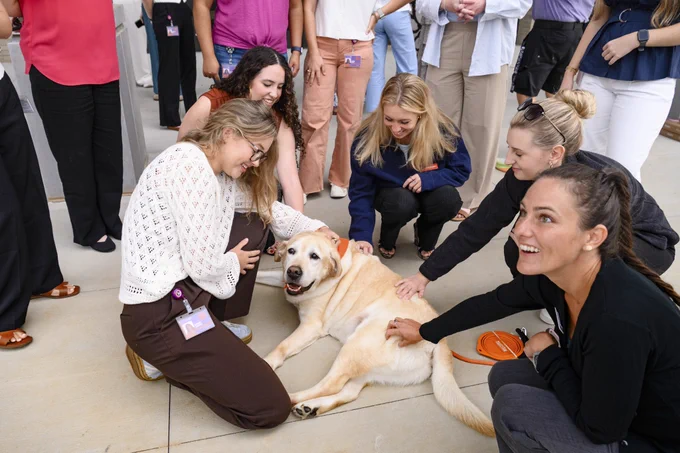 A group of people happily gathered around a Labrador Retriever, each reaching out to pet it. The dog appears content and relaxed on the ground.