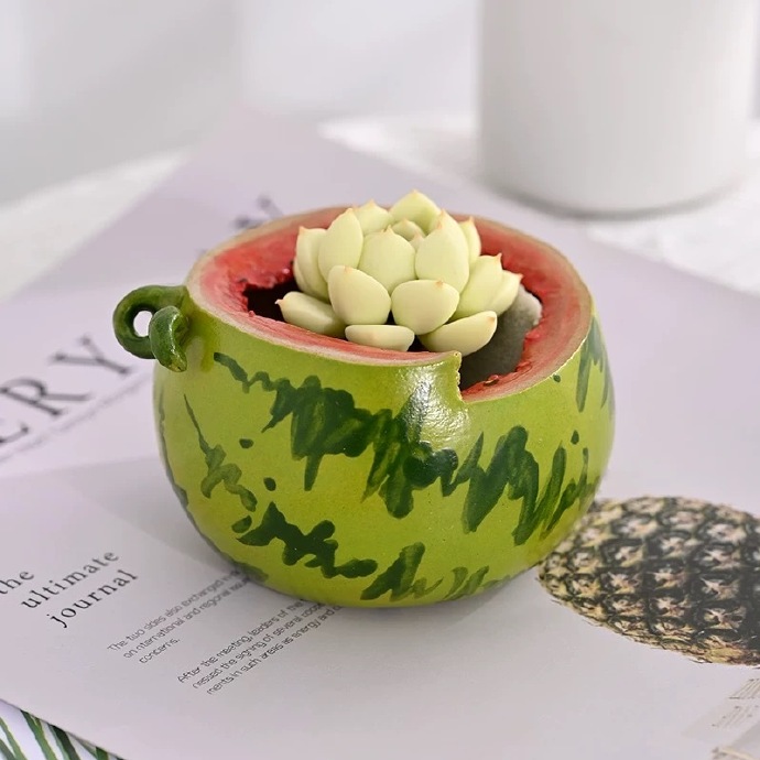 hTYjdMQzu9iGo26's tweet photo. Turn an old mason jar into a cute plant pot! Super easy DIY for small spaces ， https://t.co/uqbZ0EHkWJ