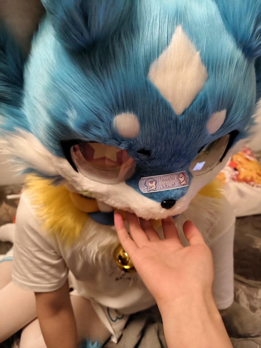 ychfurry0501's tweet photo. https://t.co/kaVFuHP9mX