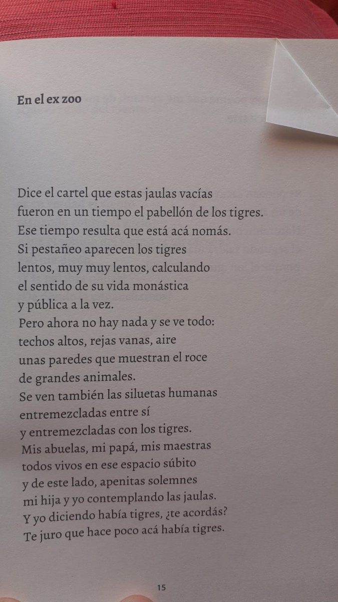pablonatale's tweet photo. Este poema del último (y prrecioso) libro de Laura Wittner. https://t.co/1vPIspucKB