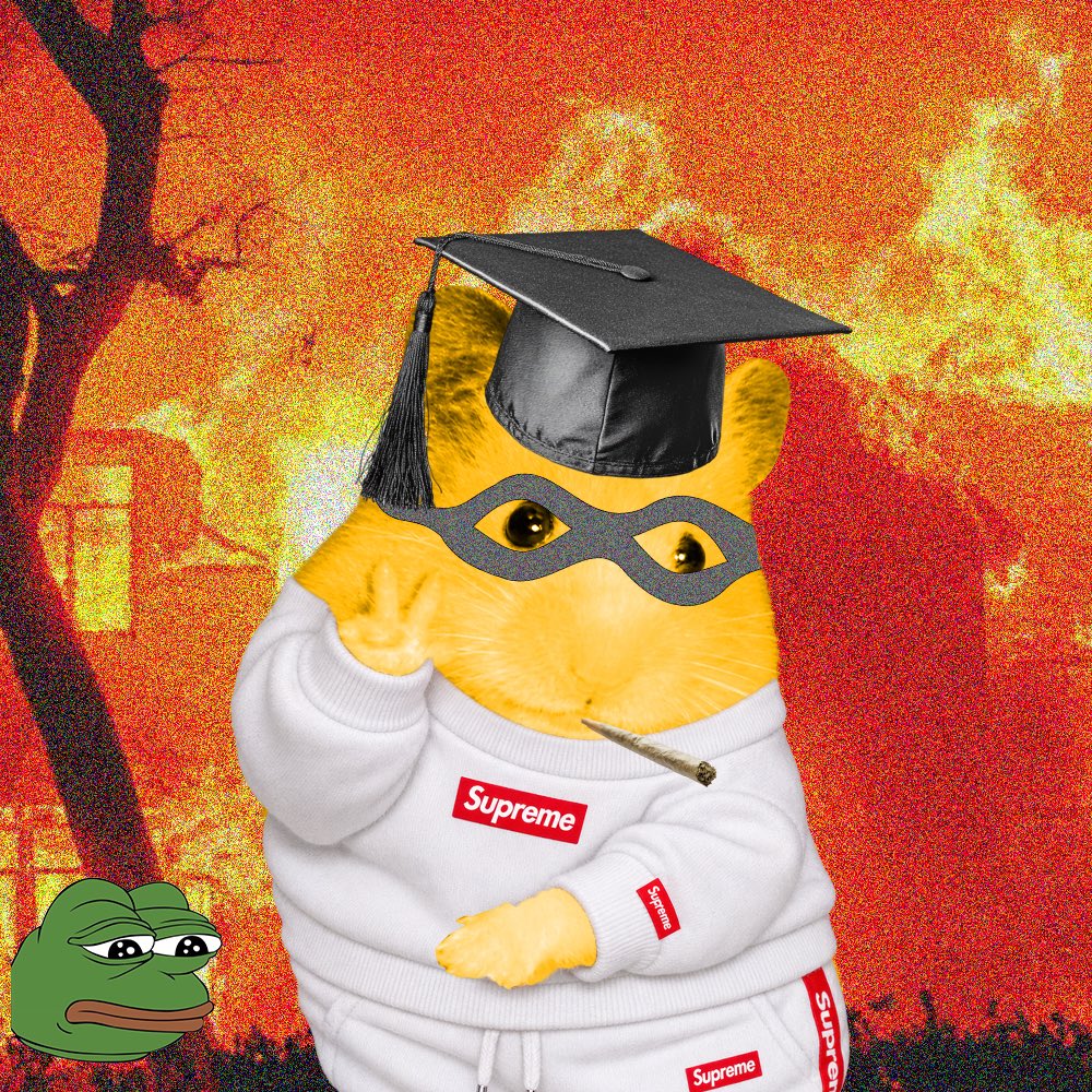 CashHamster_'s tweet photo. U got more knowledge than hamsters? Think twice😏 https://t.co/uaLQFRb0dt