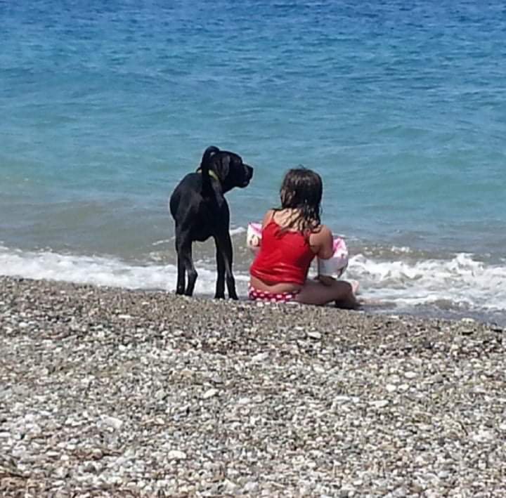 giotakavvoura's tweet photo. #παγκοσμια_ημέρα_φωτογραφίας https://t.co/obFEod4WEM