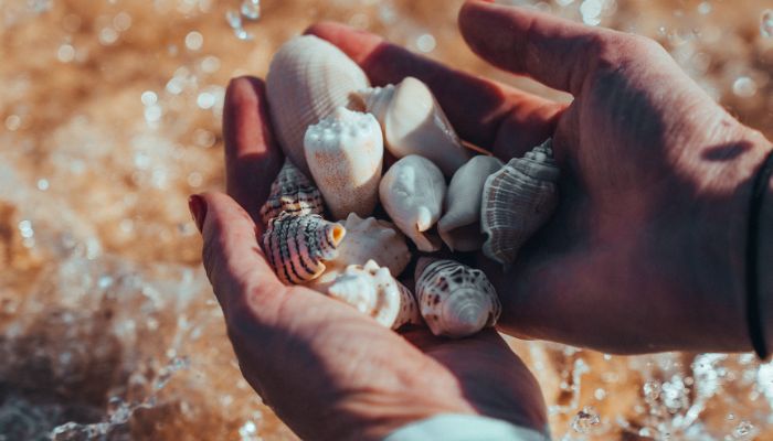 magdabarcelo's tweet photo. Inspiración (fin de) verano - https://t.co/ywu1wEC82P https://t.co/aSBomqFP8G
