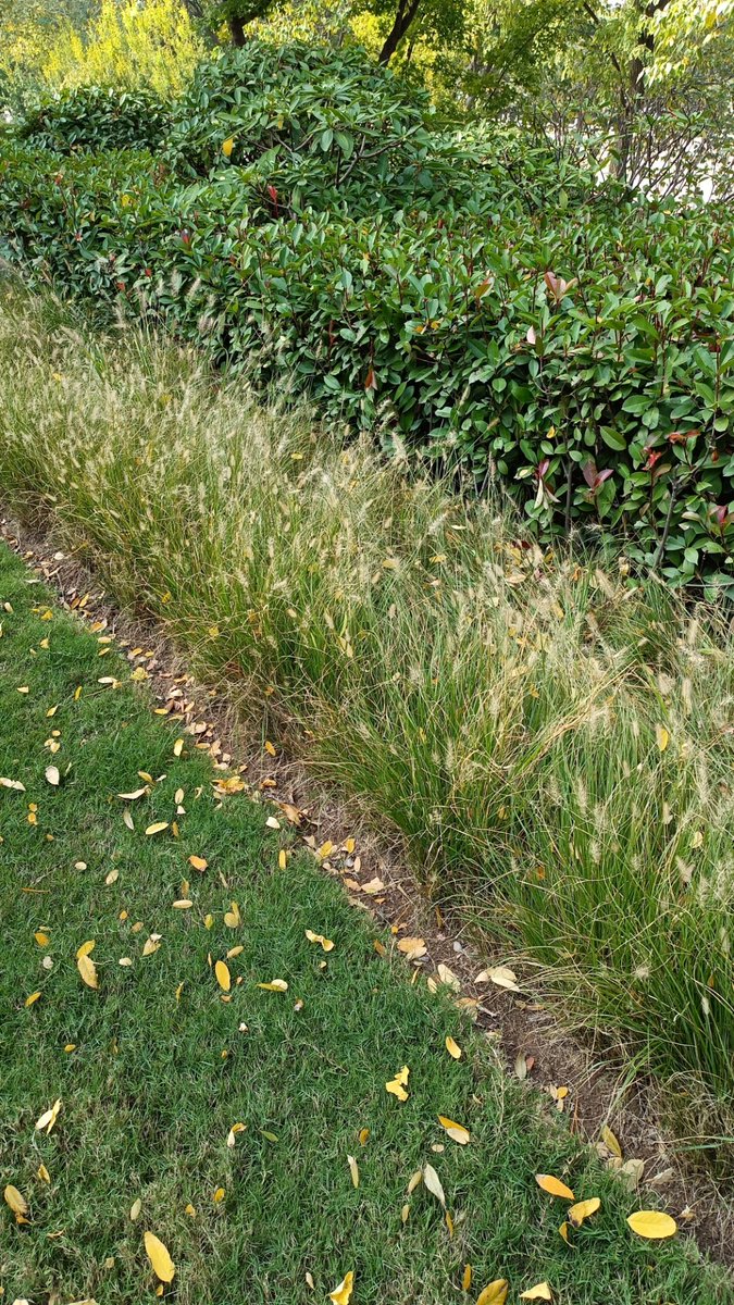 BenettePhillips's tweet photo. Sunlight and warm breeze, autumn is here  Perfect weekend for a walk in the park!， https://t.co/JX89jRYMrm