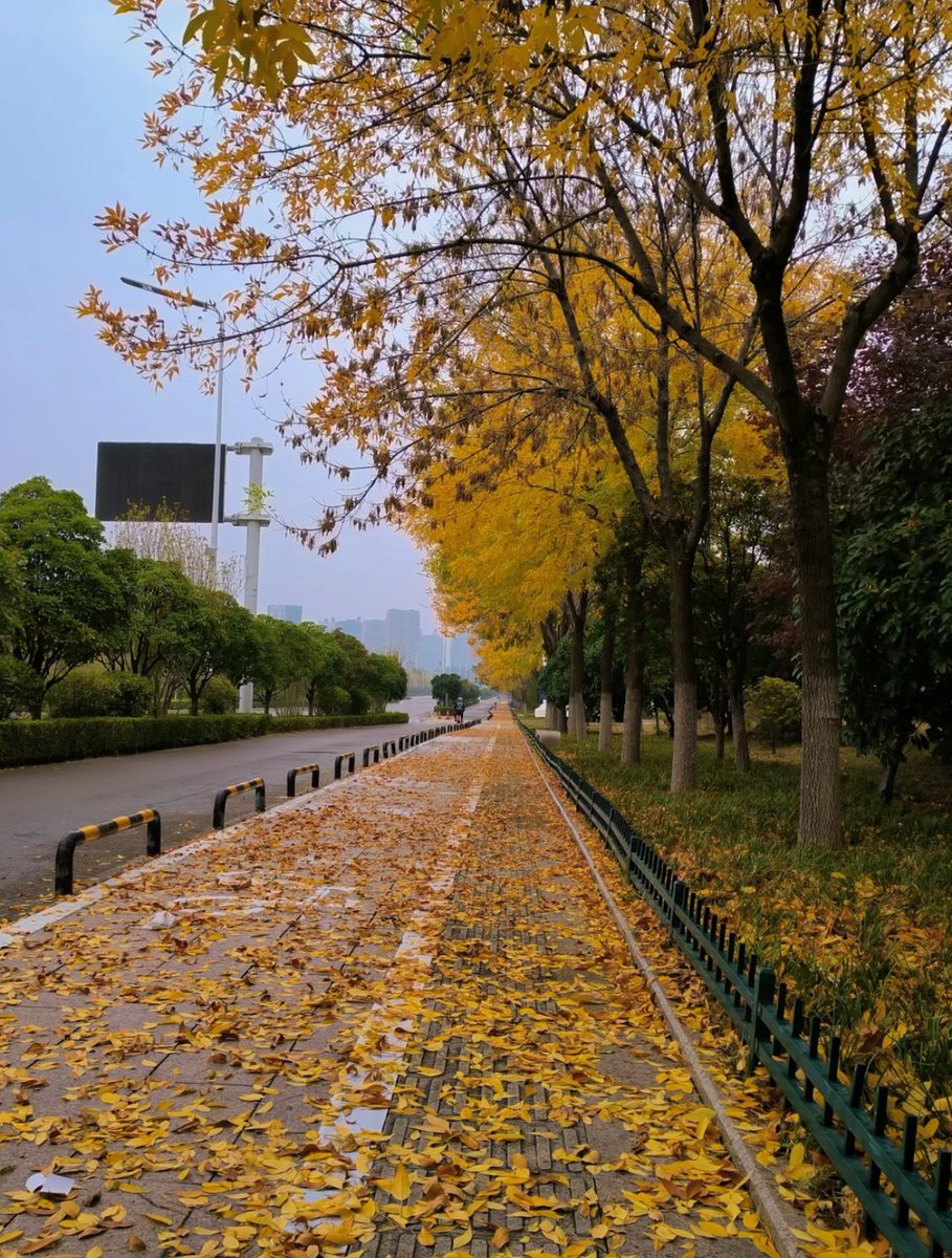 NdriValeur's tweet photo. Sunshine + gentle breeze = perfect autumn afternoon for a park walk https://t.co/xBjev5On48