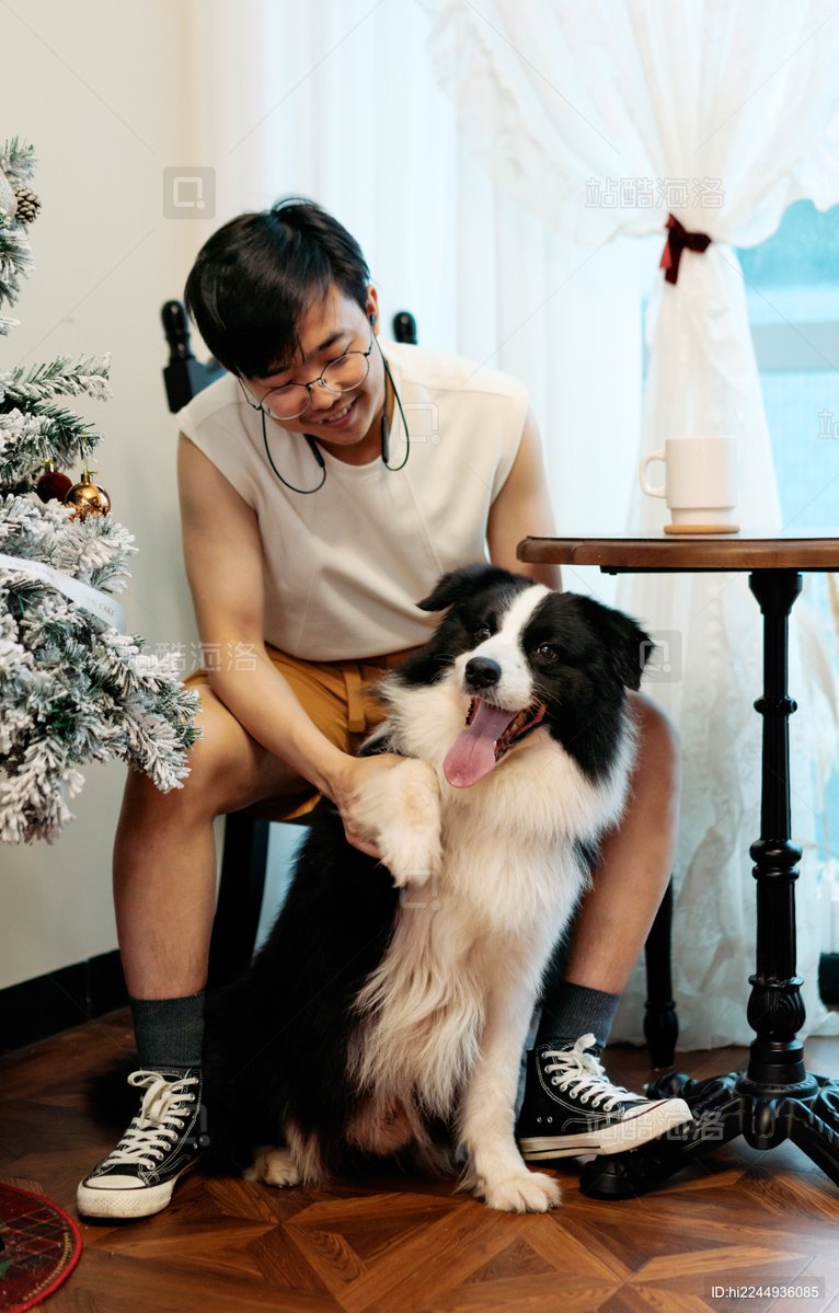 Meliz03524025's tweet photo. Nothing beats coming home to your pup waiting by the door  Just gave my favorite buddy the biggest snuggle and now we’re having lazy afternoon treats—best kind of day ever! https://t.co/cE38zFFEDe
