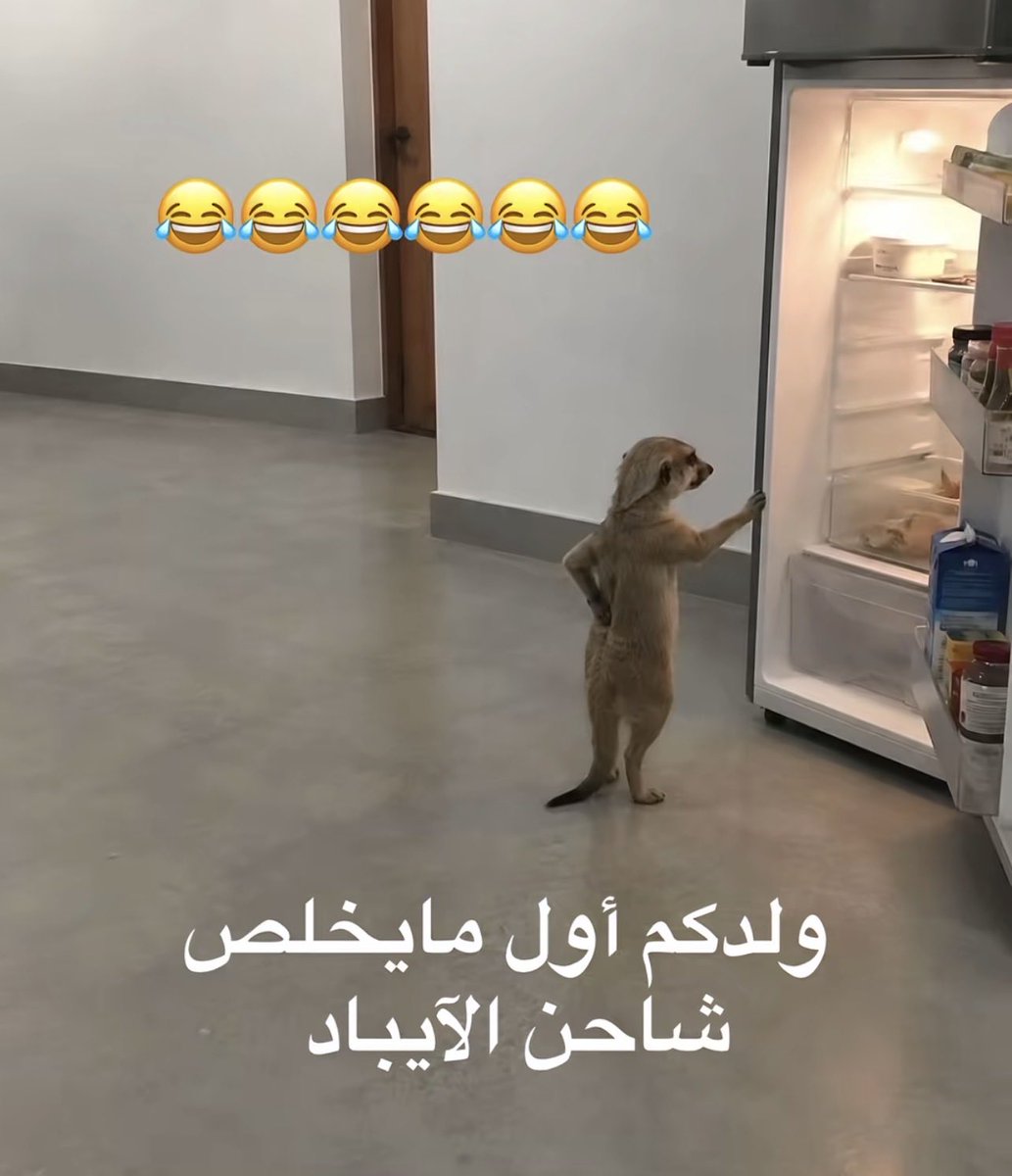 lilil__44's tweet photo. والله صدق عيال خواتي كذا من يطفي الجوال توهم يدرون بالجوع 🙂😂 https://t.co/GRsHgkkQ6q