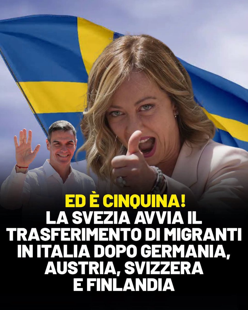 Flexgrimmy_'s tweet photo. Dacci un sei gioggia dacci un sei https://t.co/pTWxZ22MFW