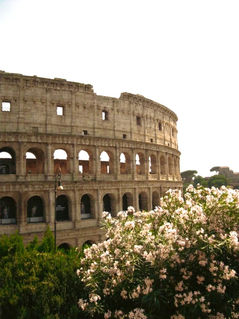 onllycutestuff's tweet photo. Rome https://t.co/k1nGGOSNWz