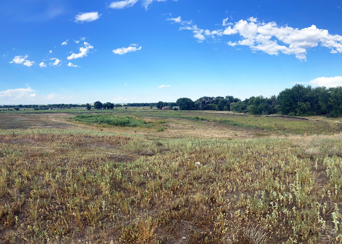 greeleygov's tweet photo. Join us at a fun Pop-Up event to learn about future Eagleview Park and share your ideas!
  
🗓️ Thursday, August 27
🕓 4:00 to 6:30 p.m.
📍 Eagleview Park (N 61st Avenue &amp; B Street)

We are committed to working with you to create a vibrant community park! https://t.co/tY4VBbqbV6