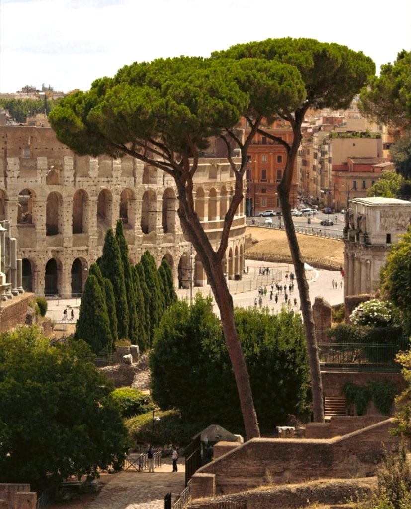 onllycutestuff's tweet photo. Rome https://t.co/k1nGGOSNWz