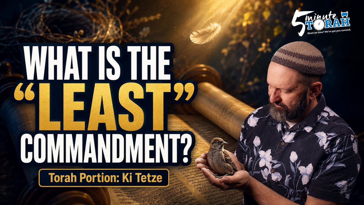 Shalomacon's tweet photo. What is the “least” commandment—and why did Yeshua warn us not to relax it? Discover what a mother bird reveals about obedience in this week’s 5 Minute Torah. https://t.co/8nA4w9zYpq https://t.co/TdOq6xtT4Q